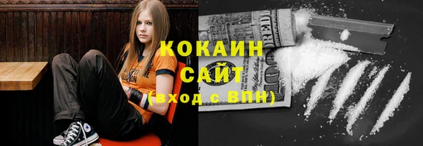 стаф Алзамай