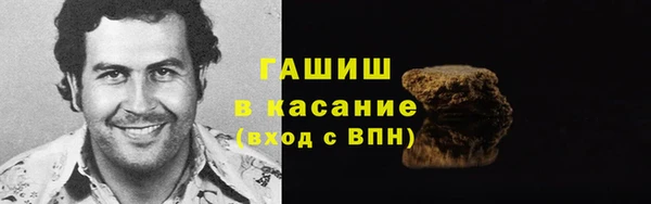 стаф Алзамай