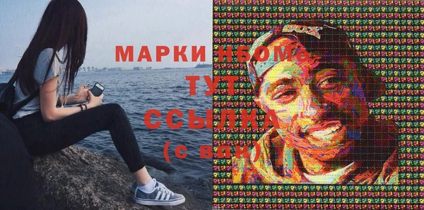 метадон Алексин