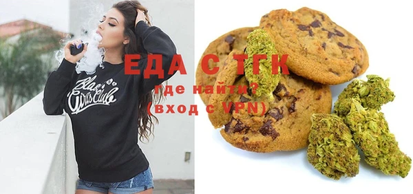 стаф Алзамай