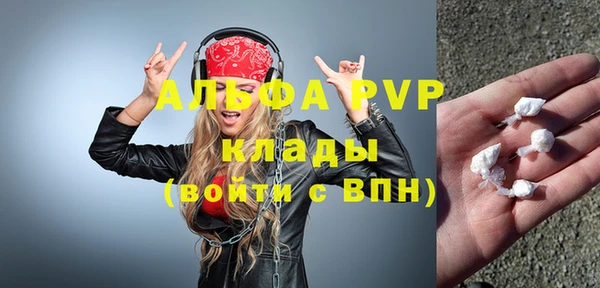 стаф Алзамай